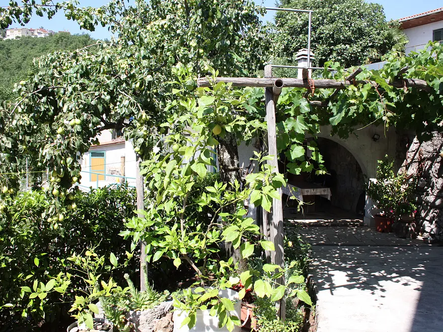 Ferienwohnung in Matulji  999202373 30677 – Foto 23