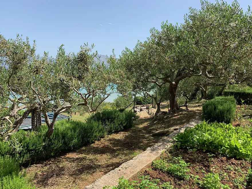 Ferienwohnung in Brac  999202976 31241 – Foto 11