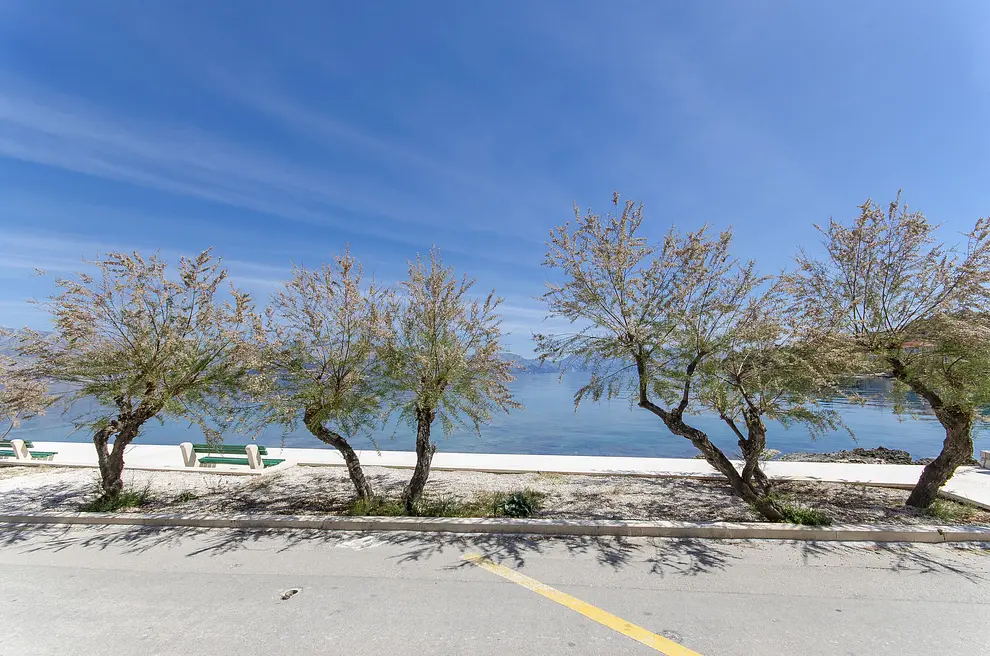 Ferienwohnung in Brac haustiergeeignet 999211245 39045 – Foto 7