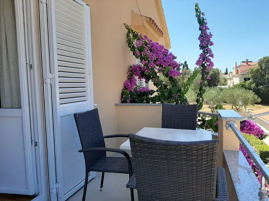 Ferienwohnung in Novalja haustiergeeignet 999204217 32427 – Foto 4