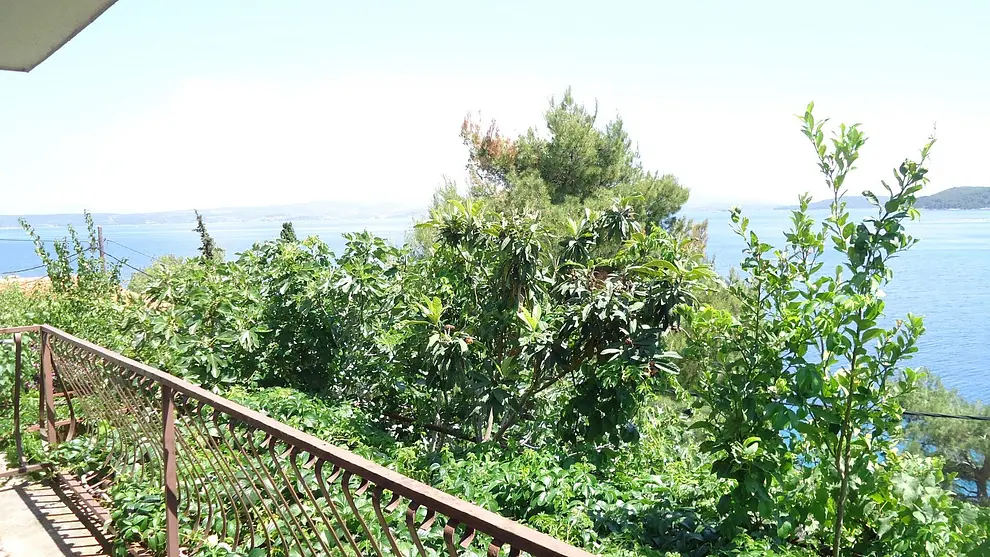 Ferienwohnung in Solta haustiergeeignet 66153574 27203