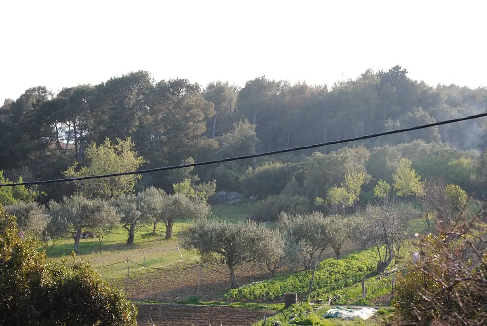 Ferienwohnung in Kastela  999211810 39544