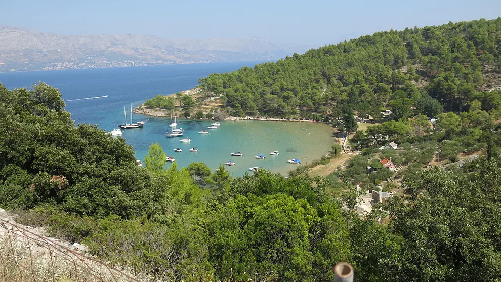 Ferienwohnung in Brac haustiergeeignet 999208479 36443