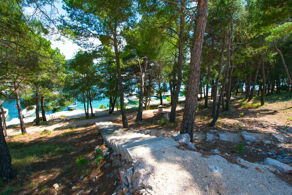 Ferienwohnung in Biograd  999211545 39313 – Foto 12