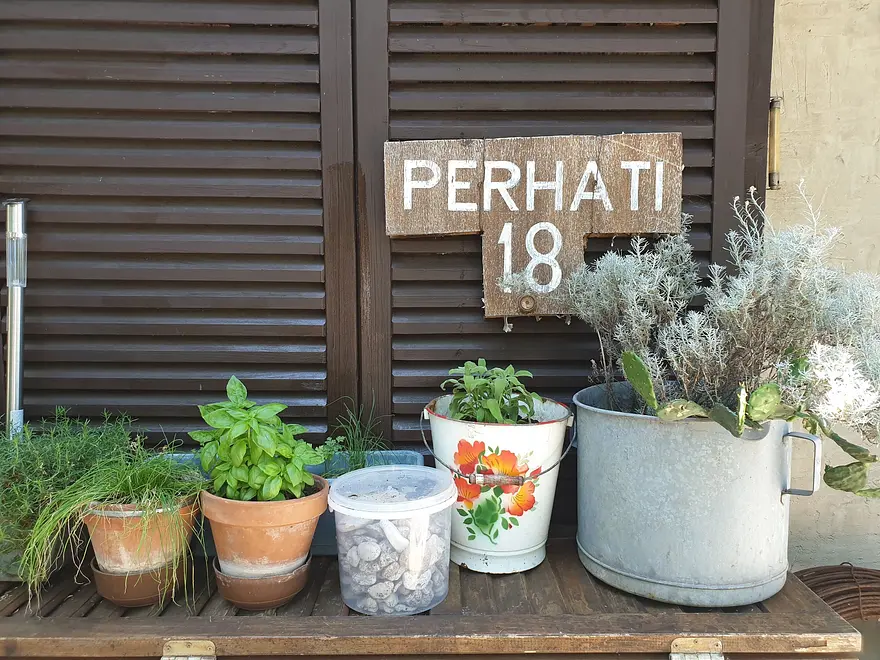 Ferienwohnung in Crikvenica haustiergeeignet 66134268 19079