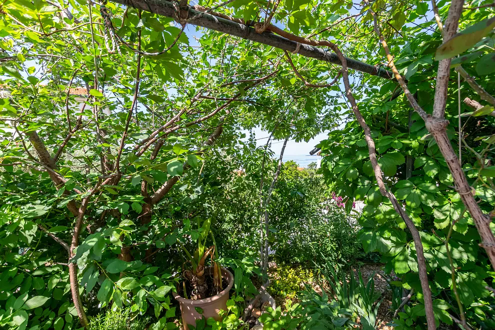 Ferienwohnung in Banjol haustiergeeignet 66139596 22334