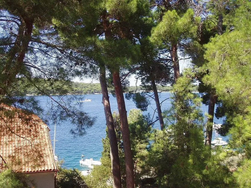 Ferienwohnung in Losinj haustiergeeignet 66152812 26605