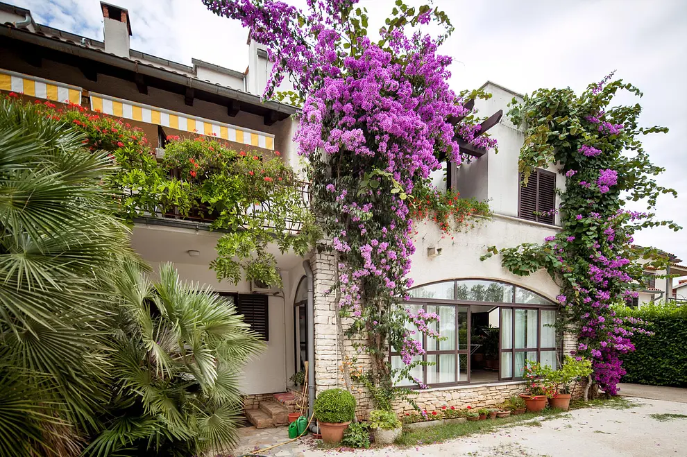 Ferienwohnung in Rovinj  999209154 37084 – Foto 16