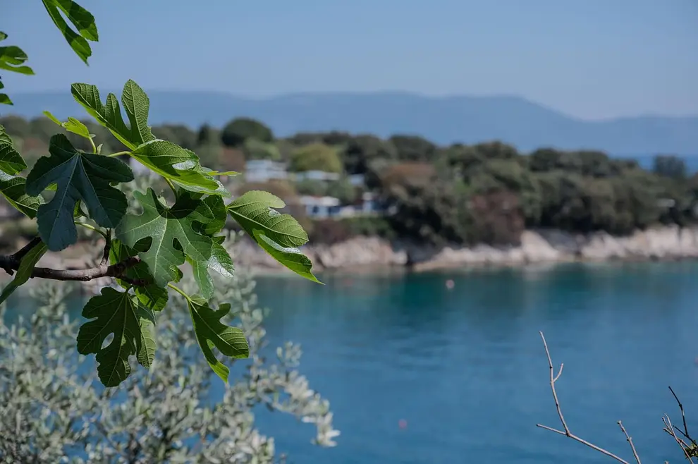 Ferienwohnung in Rabac  999208986 36928 – Foto 7