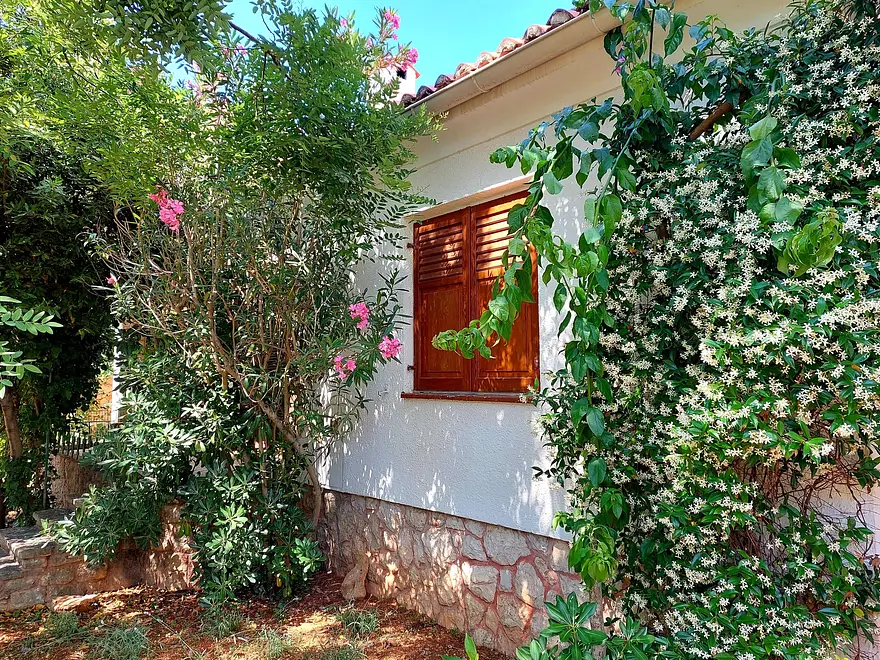 Ferienwohnung in Novalja  999208994 36935 – Foto 17