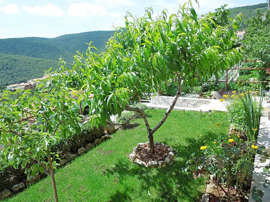 Ferienwohnung in Labin  999203561 31799 – Foto 8