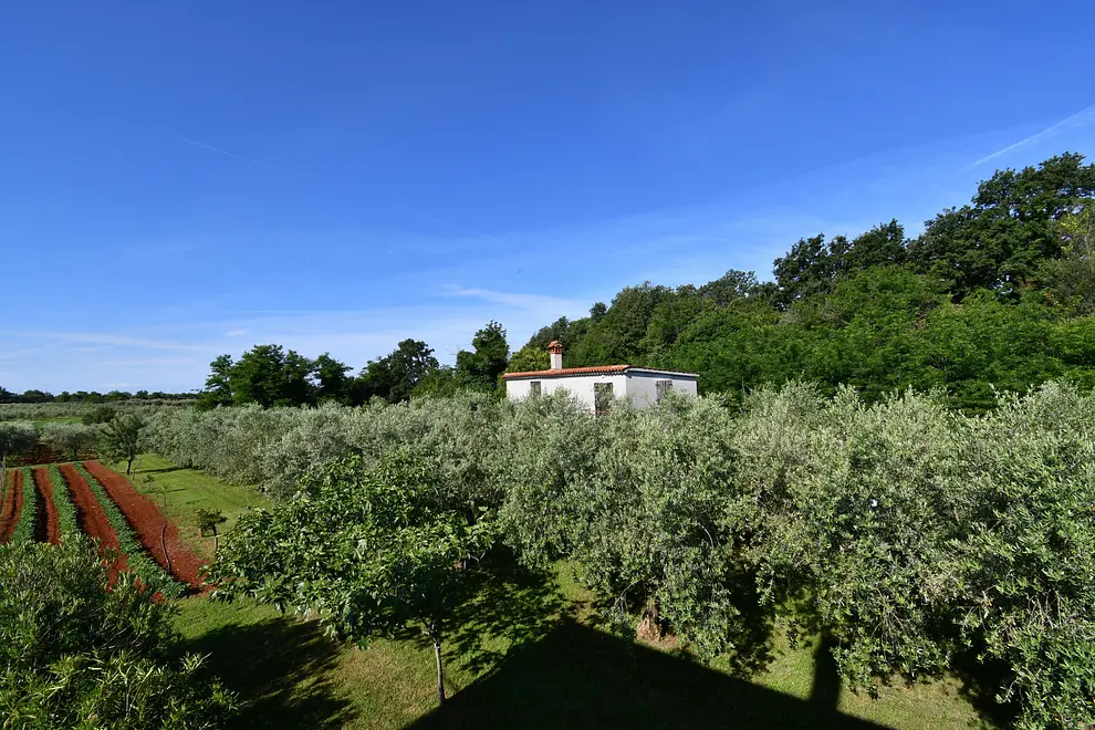 Ferienwohnung in Brtonigla  999207578 35613 – Foto 14