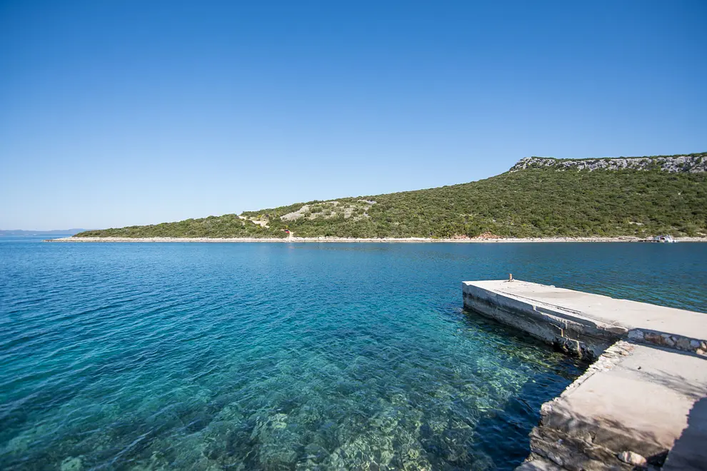 Ferienwohnung in Pasman haustiergeeignet 66119315 7570