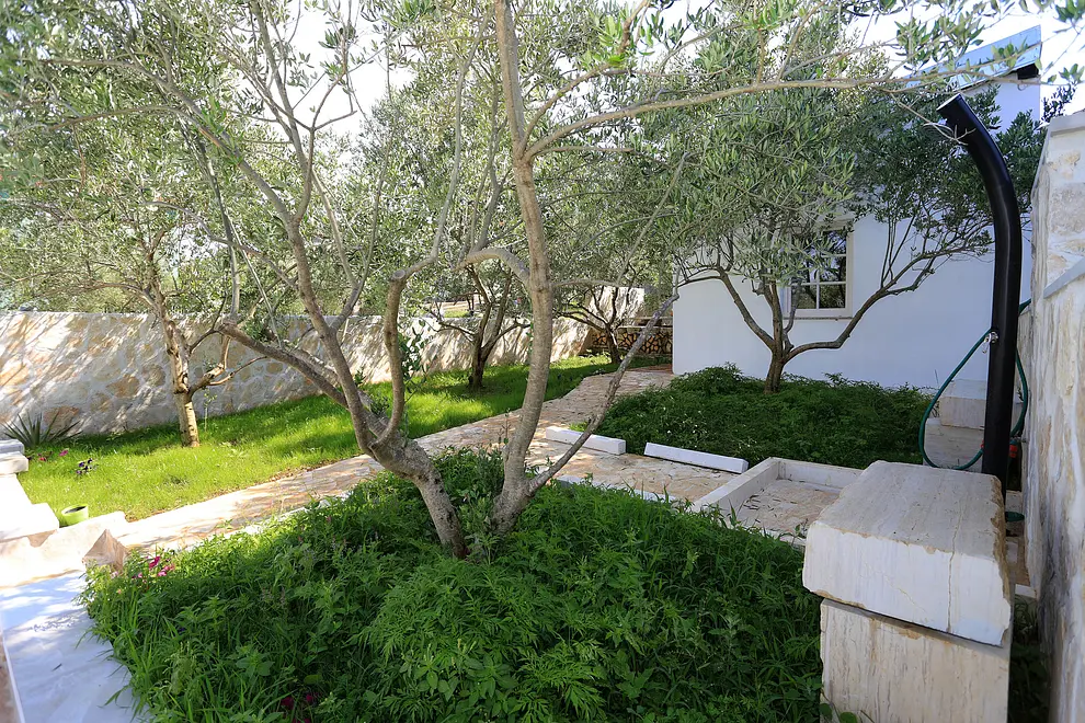 Ferienwohnung in Preko mit Pool 999206402 34505 – Foto 18