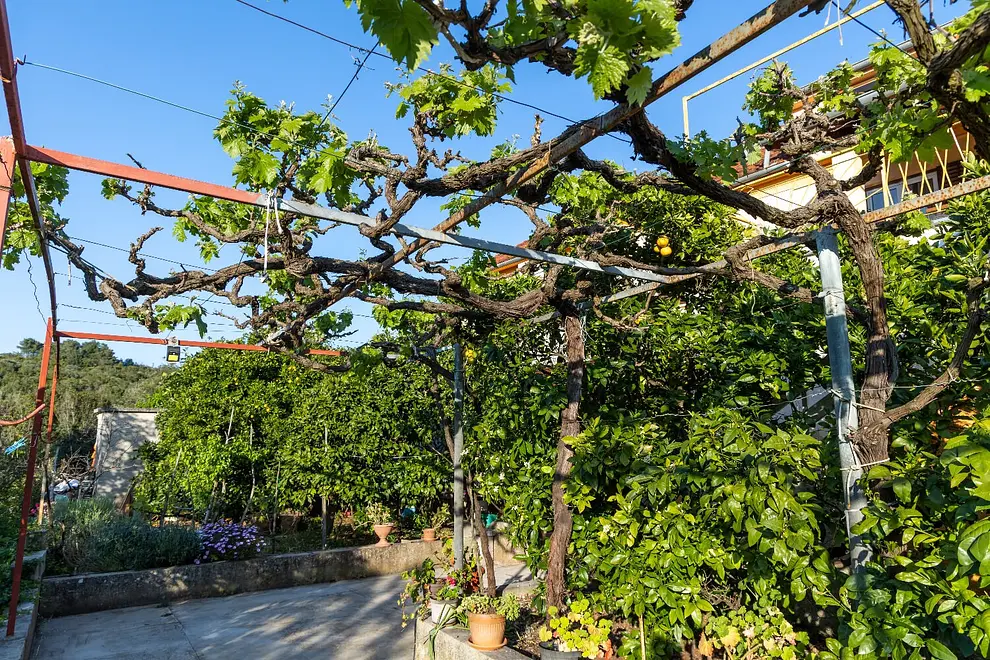 Ferienwohnung in Dugi Otok haustiergeeignet 999206950 35033