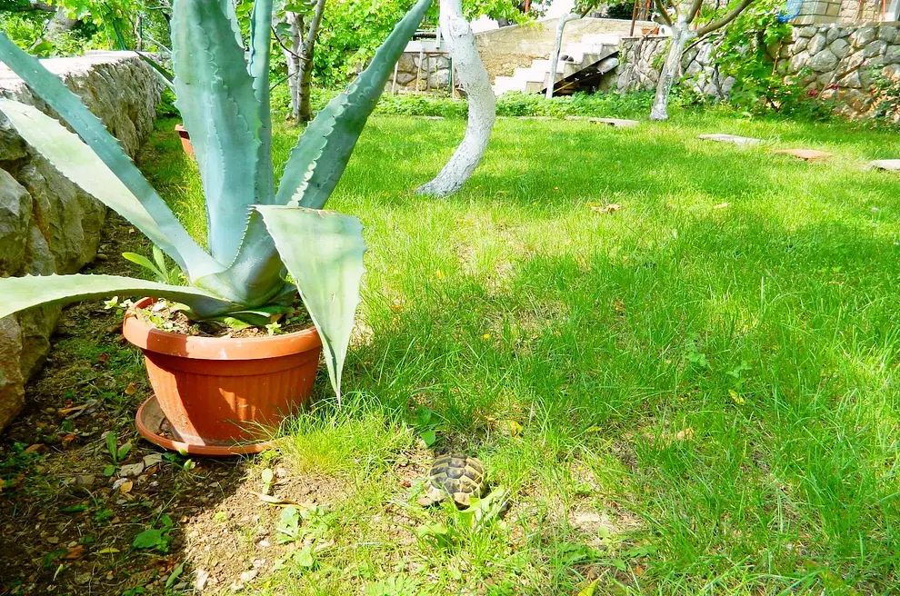 Ferienwohnung in Senj  999204513 32707 – Foto 12
