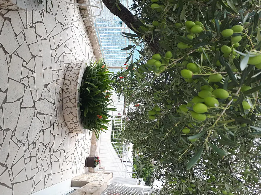 Ferienappartment in Ploce mit Pool 999202868 31141 – Foto 4