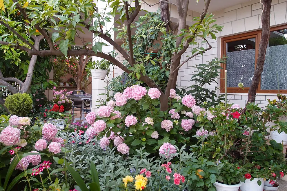 Ferienwohnung in Trogir  999205001 33172