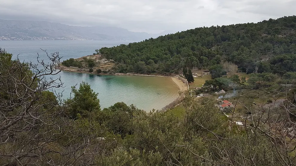 Ferienwohnung in Brac haustiergeeignet 999210858 38692 – Foto 19