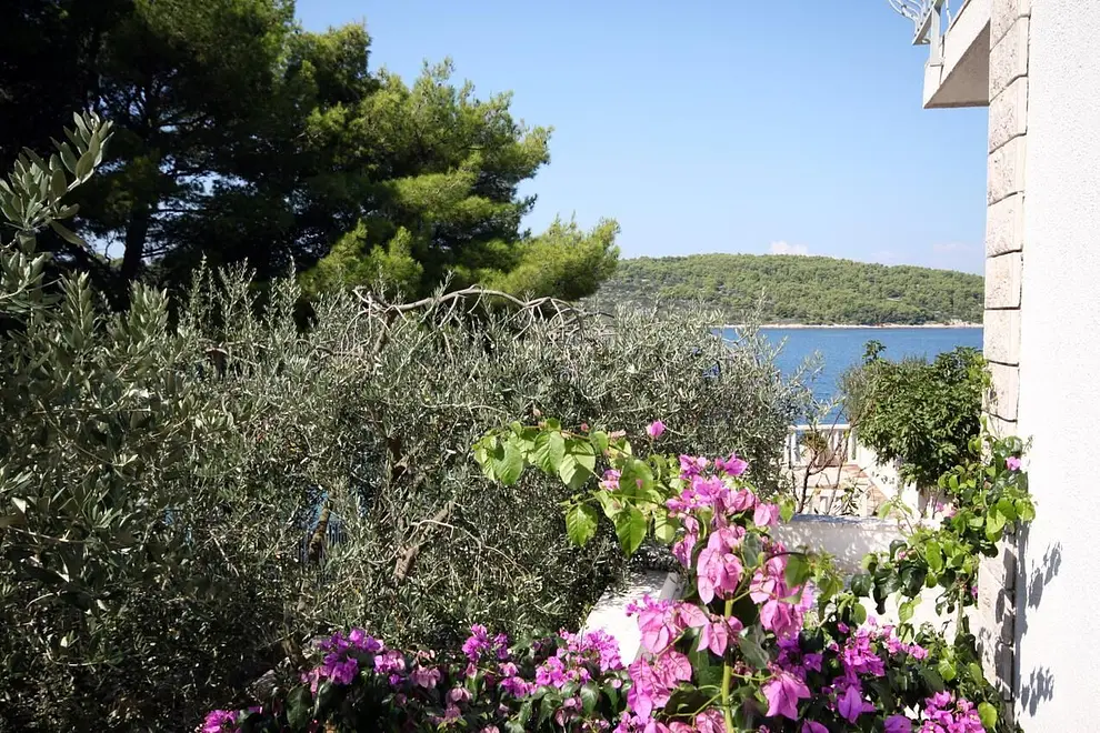 Ferienwohnung in Solta  66151561 25651