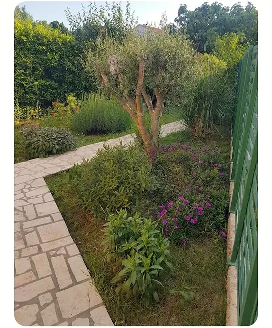 Ferienwohnung in Pula  999233631 42890 – Foto 9