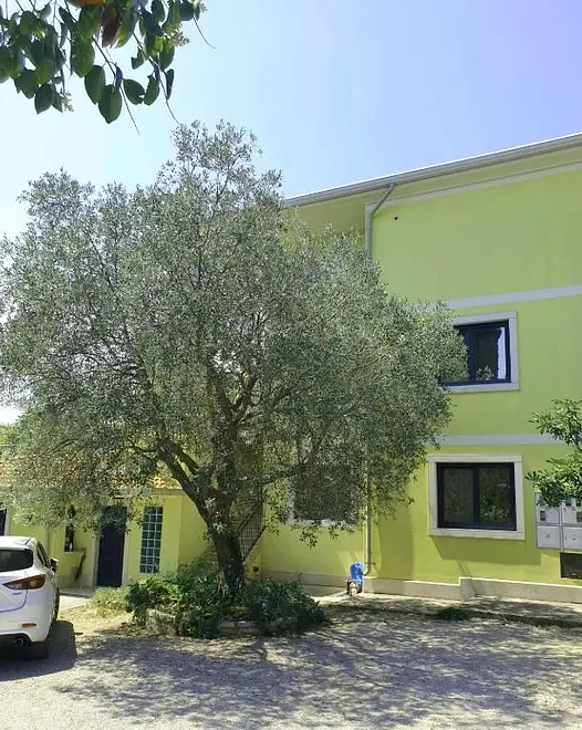 Ferienwohnung in Rovinj  999227596 42499 – Foto 6