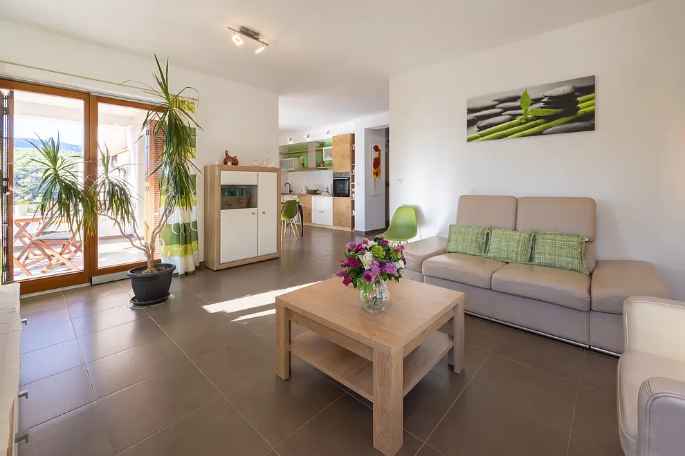 Ferienwohnung in Hvar  66137996 21086