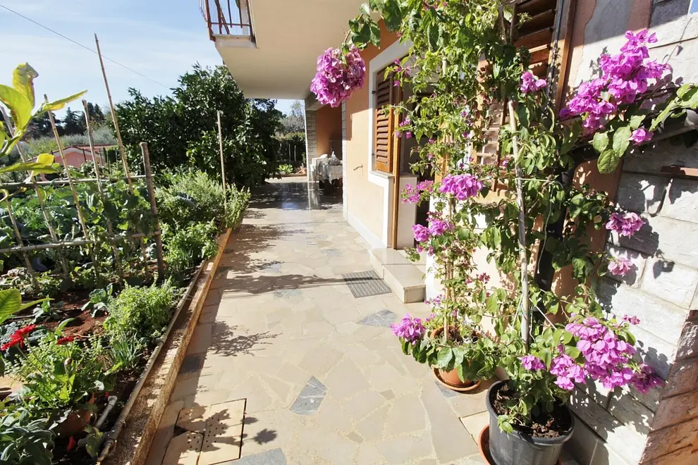 Ferienwohnung in Umag  66133459 18470