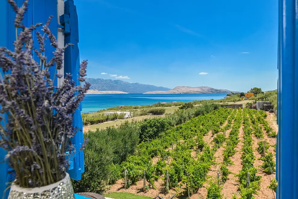 Ferienwohnung in Kolan mit Pool und haustiergeeignet 66138117 21178