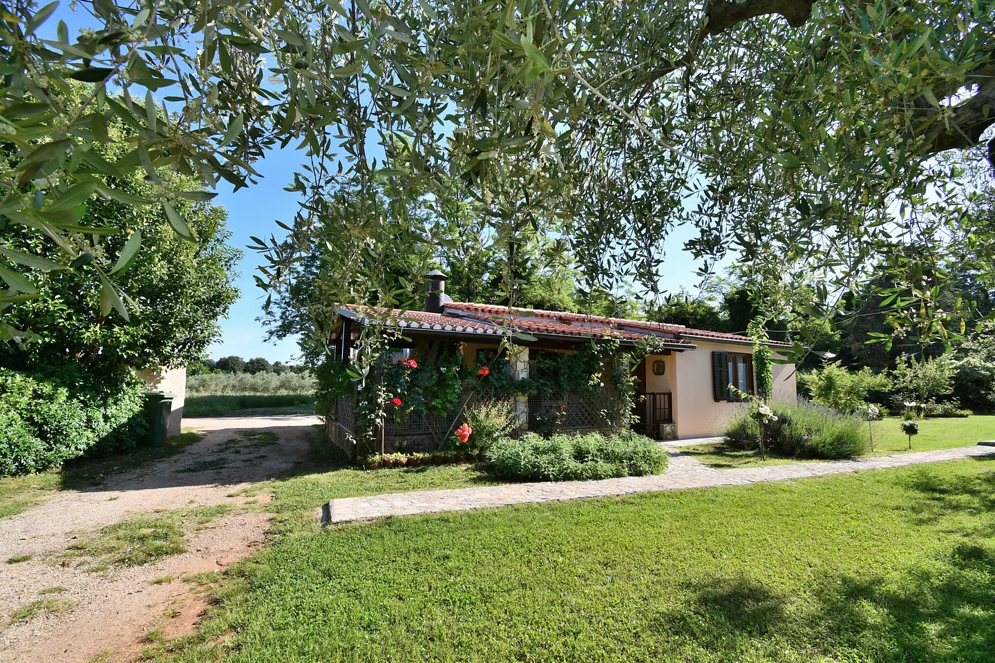 Ferienwohnung in Brtonigla  999207578 35613