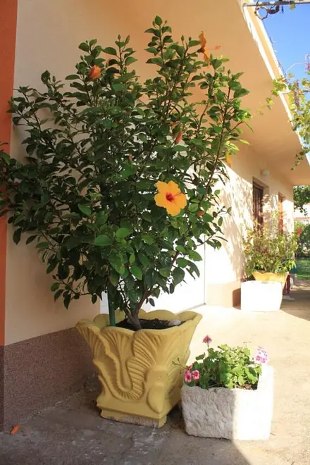 Ferienwohnung in Kali  999212310 39968 – Foto 9