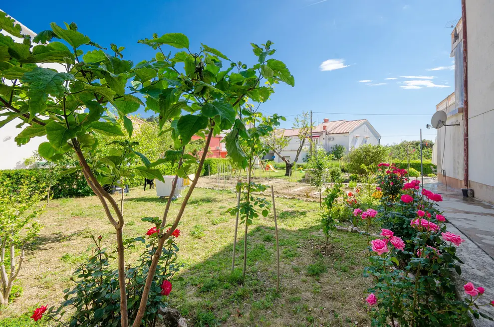 Ferienappartment in Palit  999206157 34273 – Foto 24