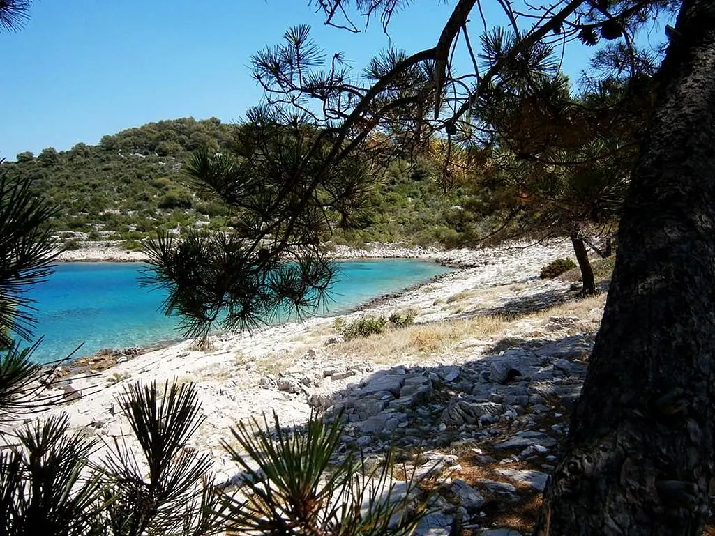 Ferienwohnung in Vodice  999207296 35358