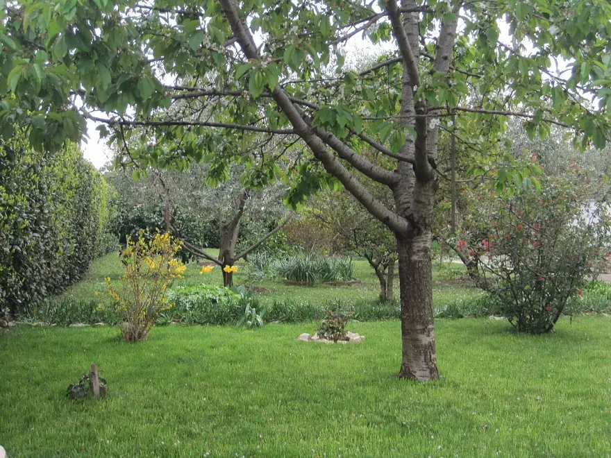Ferienwohnung in Zadar  999210040 37927 – Foto 15