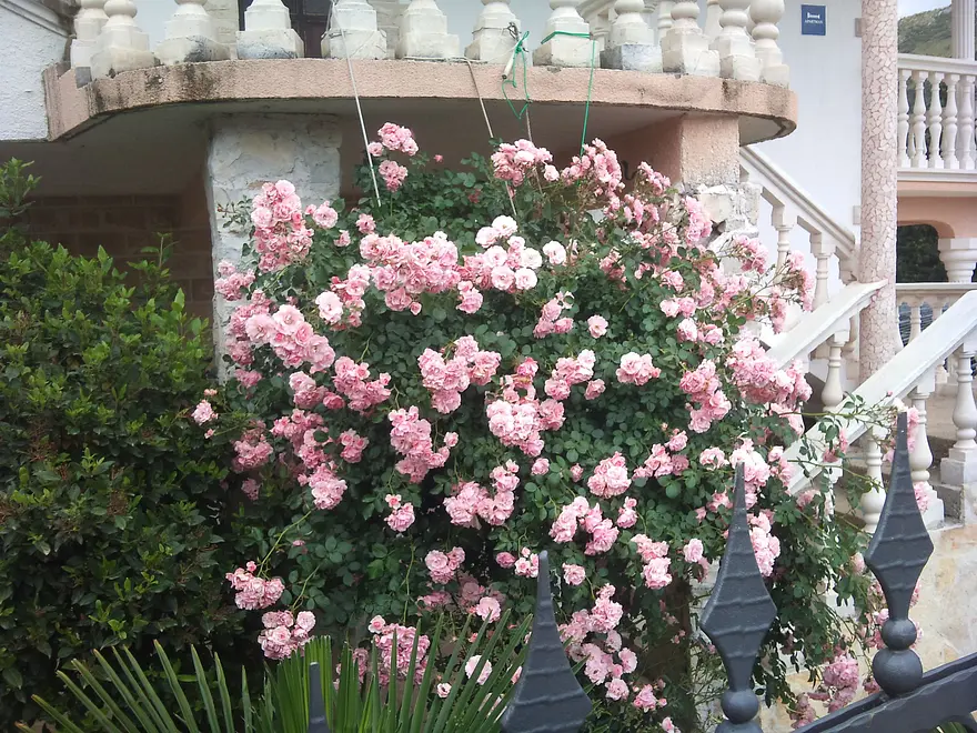 Ferienwohnung in Sibenik  999203015 31274 – Foto 33