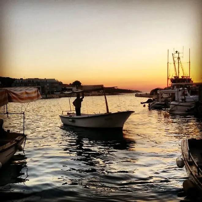 Ferienwohnung in Brac haustiergeeignet 999203424 31673