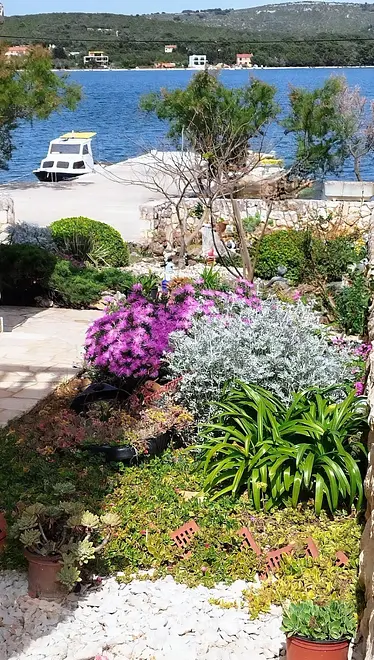 Ferienwohnung in Dugi Otok  999209991 37885 – Foto 13