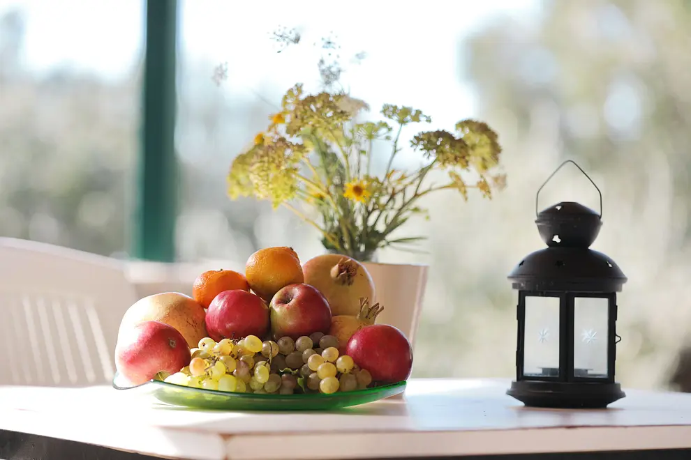 Ferienwohnung in Pasman haustiergeeignet 6611614 559