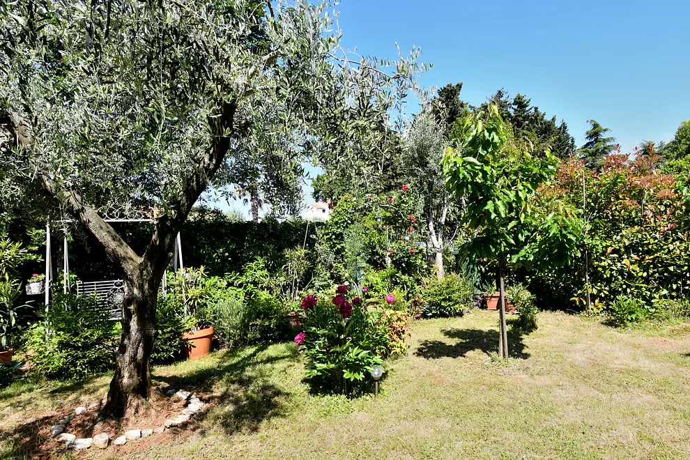 Ferienwohnung in Porec haustiergeeignet 999212396 40036 – Foto 2