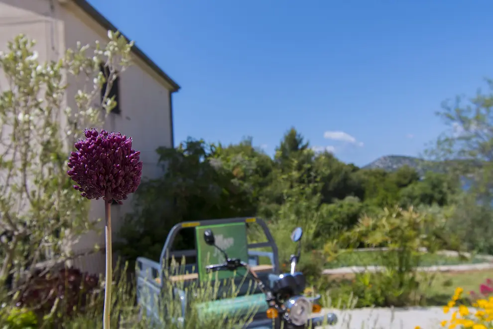 Ferienwohnung in Prvic Island  999207626 35655 – Foto 25