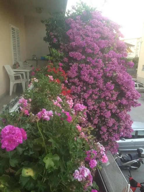 Ferienappartment in Trogir  999209093 37024
