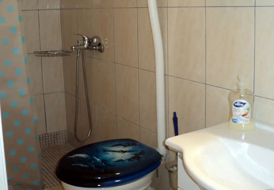 Ferienwohnung in Obrovac haustiergeeignet 999213439 40942 – Foto 25