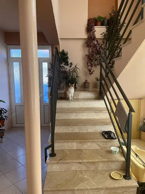 Ferienwohnung in Biograd  66154849 28134