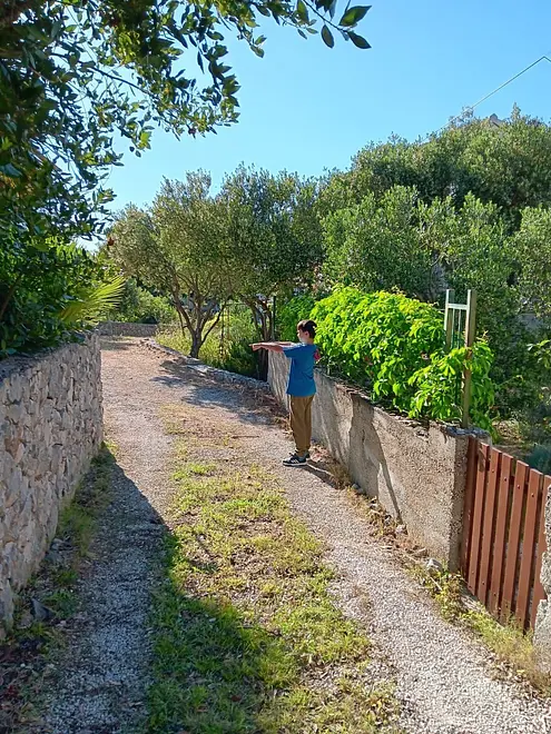 Ferienwohnung in Rogoznica  999205347 33511 – Foto 14