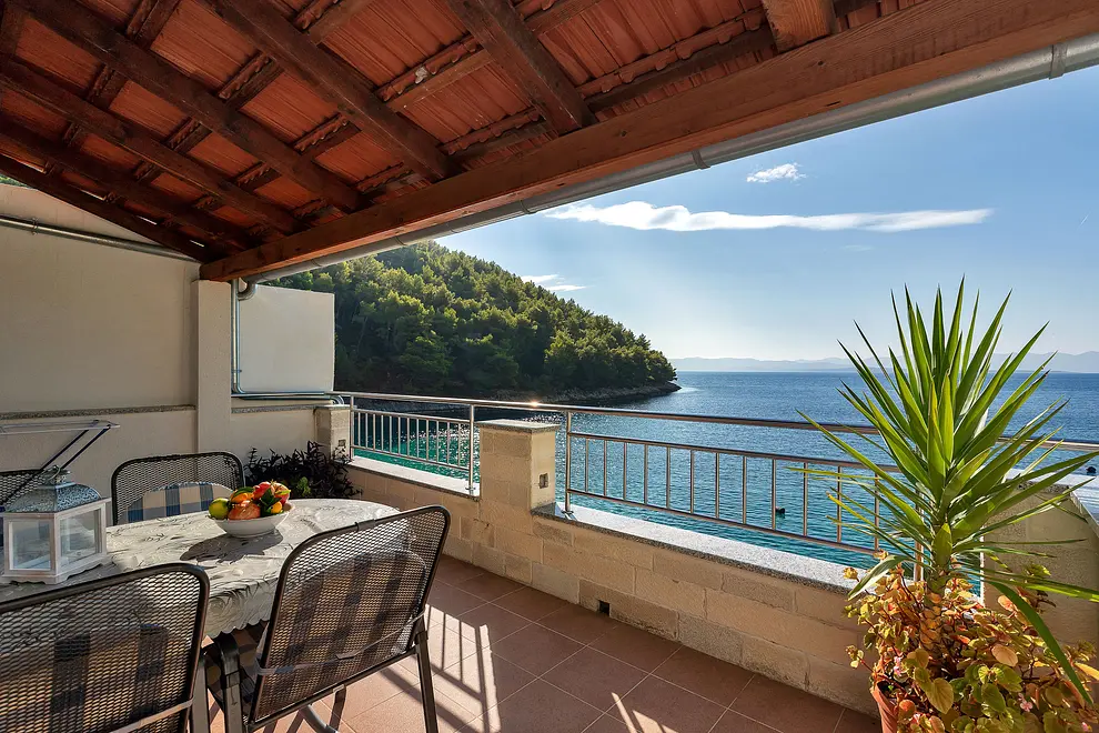 Ferienwohnung in Hvar haustiergeeignet 66131201 16623