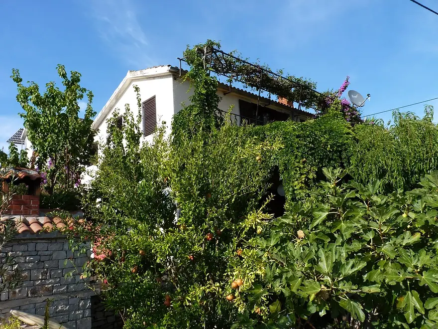 Ferienwohnung in Solta  999210649 38492 – Foto 24