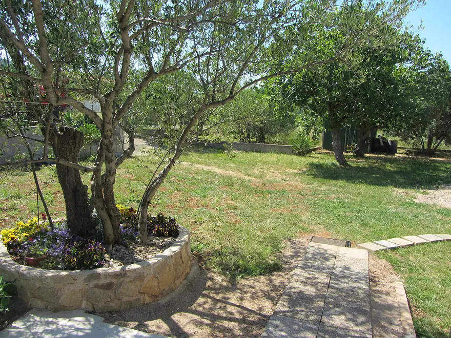 Ferienwohnung in Pasman haustiergeeignet 66132084 17330