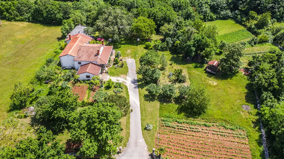 Ferienwohnung in Zminj mit Pool 999208359 36330 – Foto 46