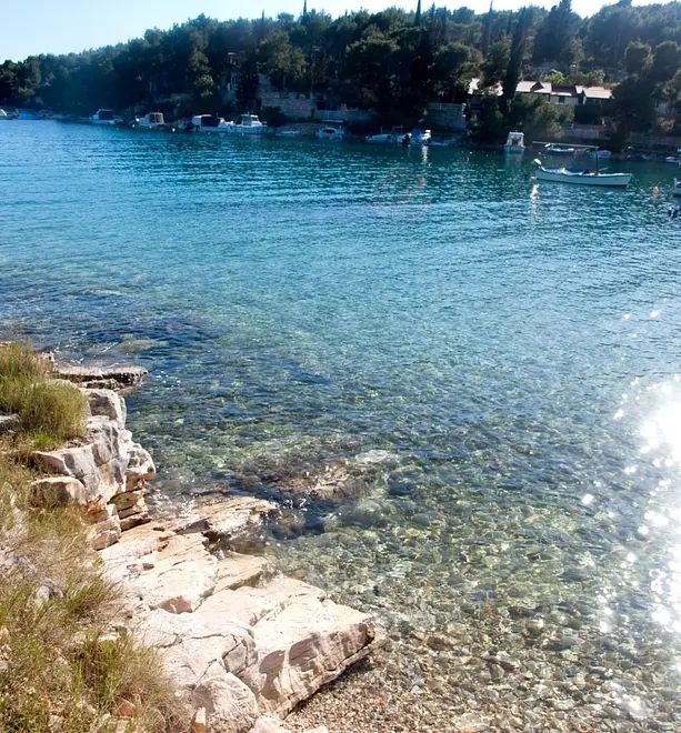 Ferienwohnung in Brac haustiergeeignet 66118971 7343