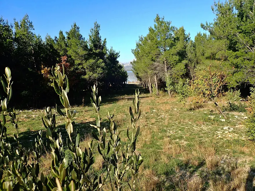 Ferienwohnung in Starigrad  999205525 33680 – Foto 9